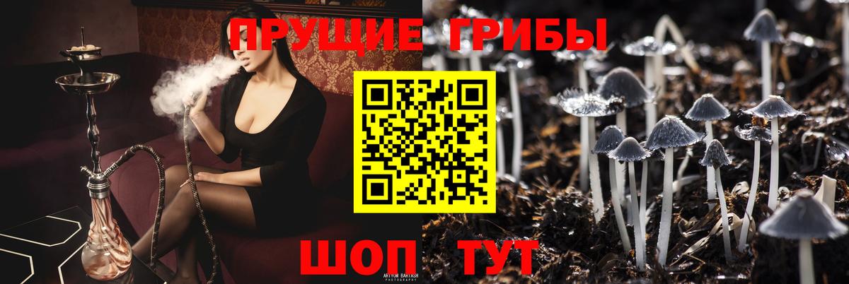 Галлюциногенные грибы мухоморы  Вход с VPN  Псилоцибиновые грибы мицелий  Серов 