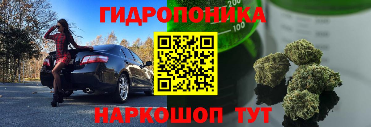 Канабис марихуана  МАРИХУАНА планчик  Каннабис индика  Серов  Вход с VPN 